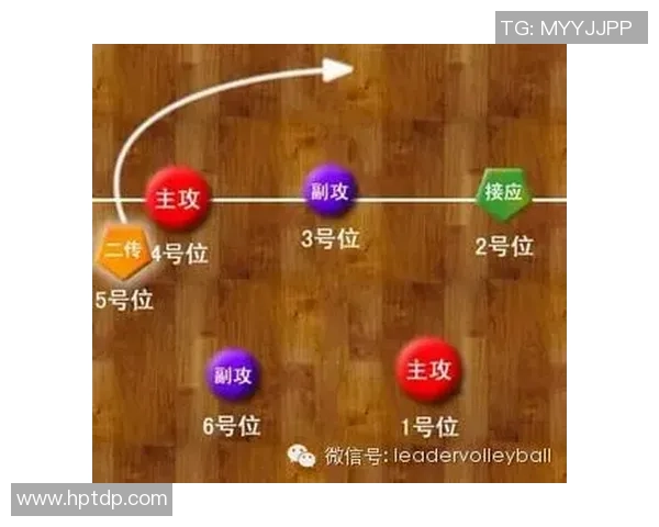 排球战术:武汉排球队的盯防体系 排球战术:武汉排球队的盯防体系