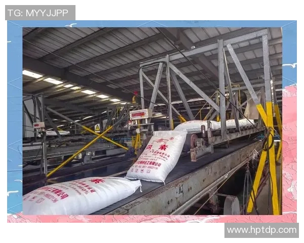 深圳排球队防守革新之路探索与实践的深度分析与展望